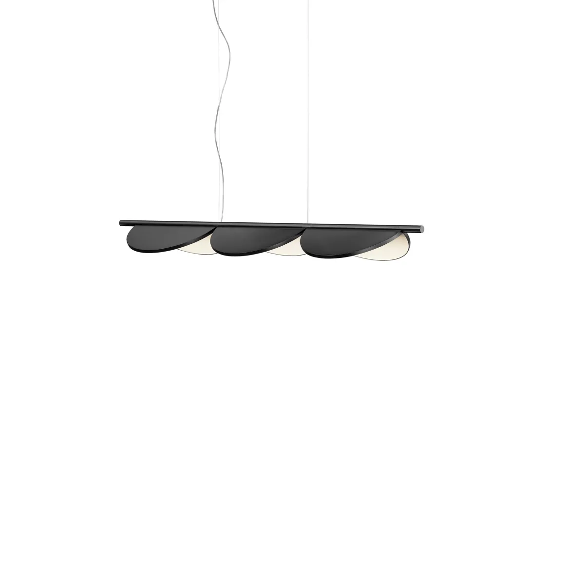 Almendra Linear