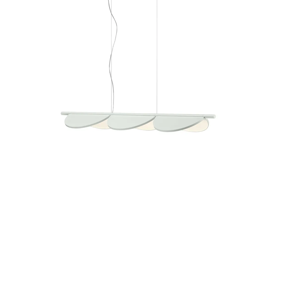 Almendra Linear