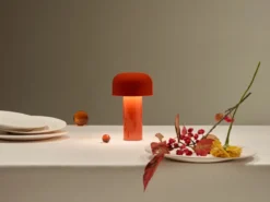 Bellhop Unplugged