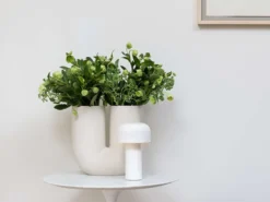 Bellhop Unplugged