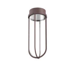 In Vitro Ceiling