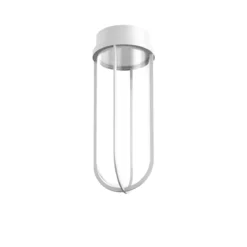 In Vitro Ceiling