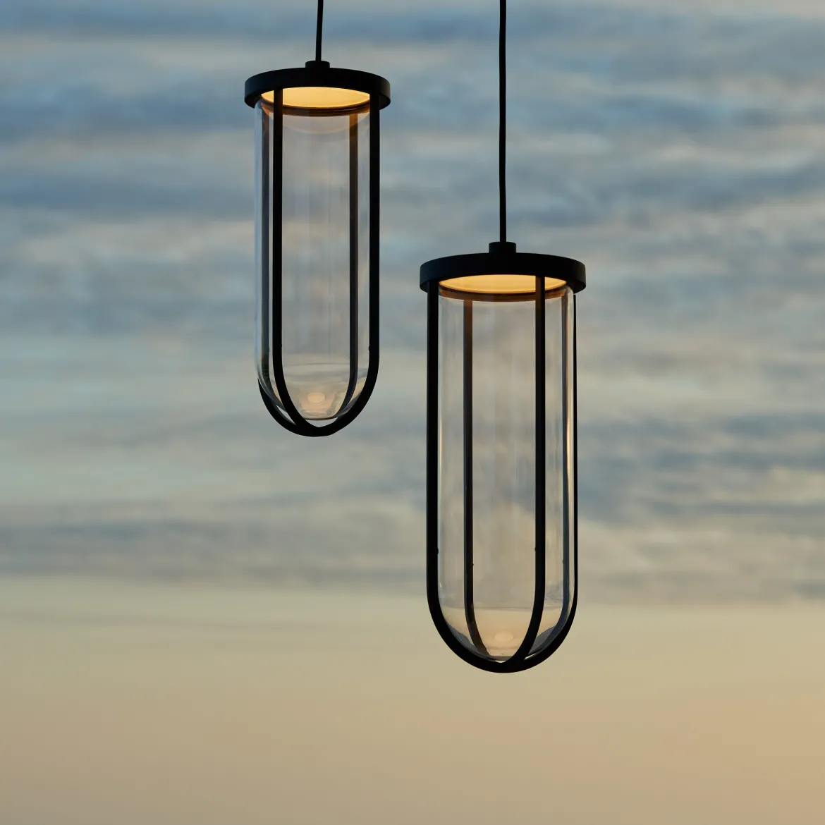 In Vitro Suspension