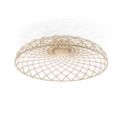 Skynest C