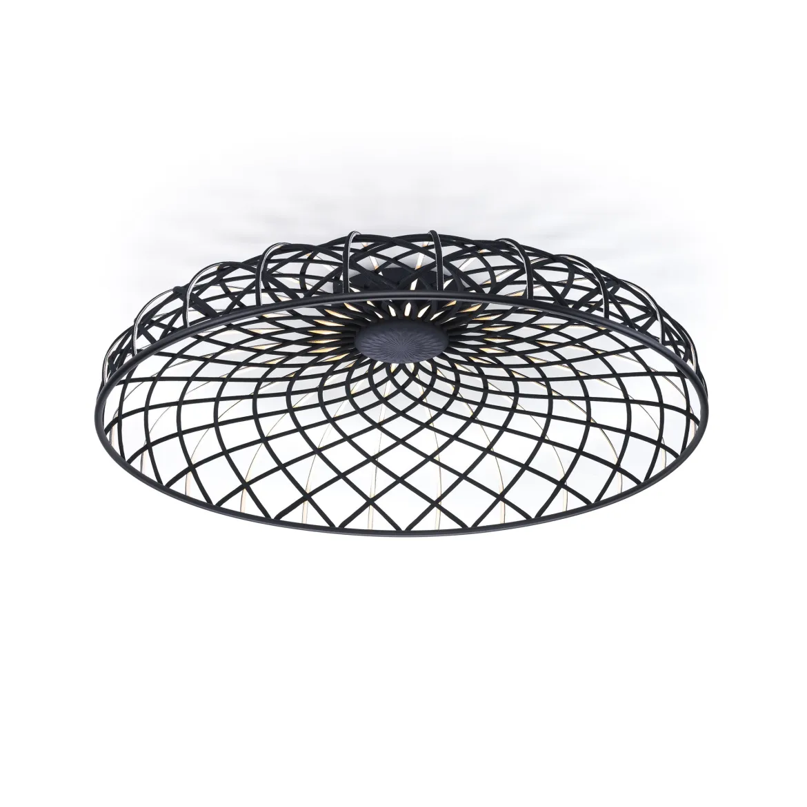 Skynest C