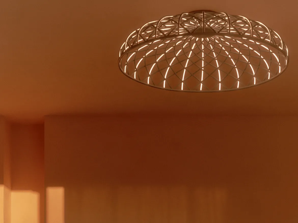 Skynest C