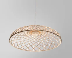 Skynest Suspension