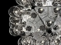 Taraxacum 88 Suspension 1