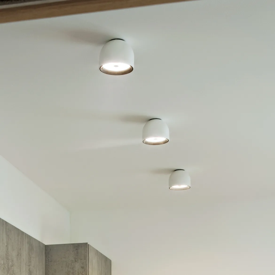 Wan Ceiling/Wall