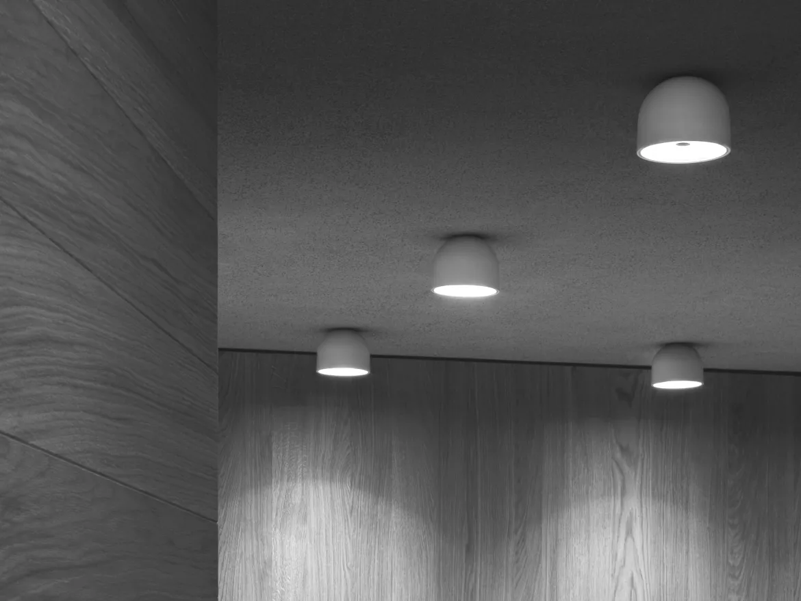 Wan Ceiling/Wall
